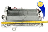 Radiador Yamaha Raptor 700 700r Yfm700 (2013-2020)