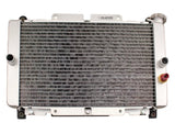 Yamaha Rhino 660 Yrx660 2004-2007 Radiador Con Soporte