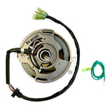 Volante Magnético Estator Para Yamaha Blaster 200 1990-2002