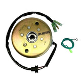 Volante Magnético Estator Para Yamaha Blaster 200 1990-2002