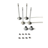 Set Empaques Y Valvulas Polaris Rzr S 800 Efi 2011-2014