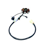 Estator Para Kawasaki Wind 125 Br125-b2 (2005) 21190-1062