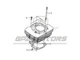 Kit Reparación Cilindro Piston Honda Foreman Trx500 (05-11)
