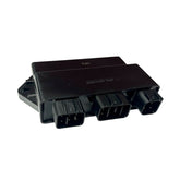 Cdi Computadora Yamaha Rhino 660 2004-2007