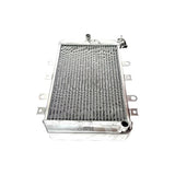 Radiador Para Yamaha Grizzly 550 (2009-2014) Grizzly 700